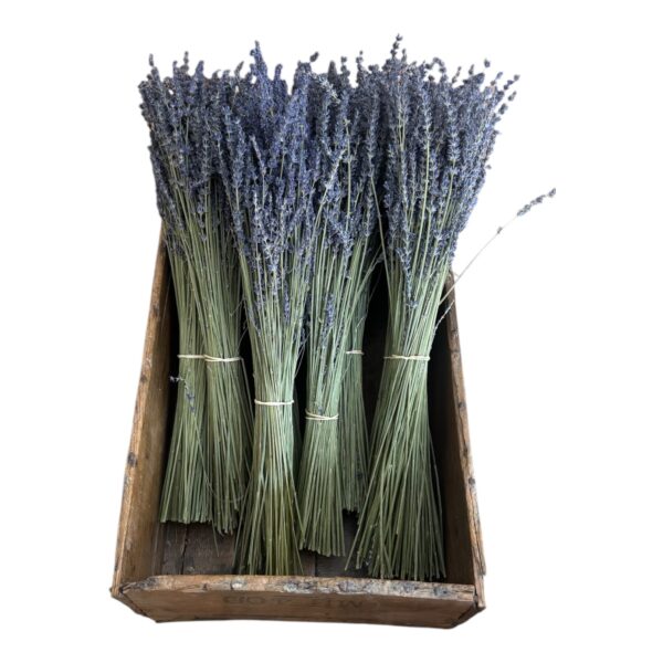bouquets
