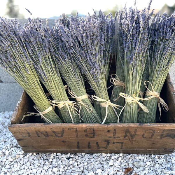 bouquet lavandin